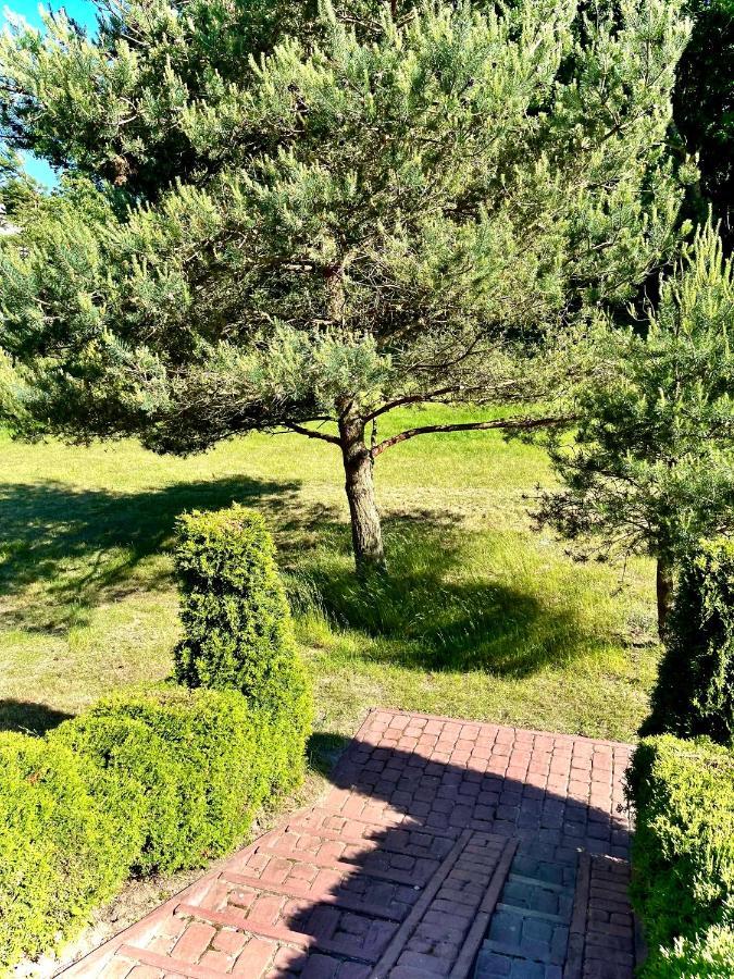 Villa Domki Debina Debina  Exterior foto